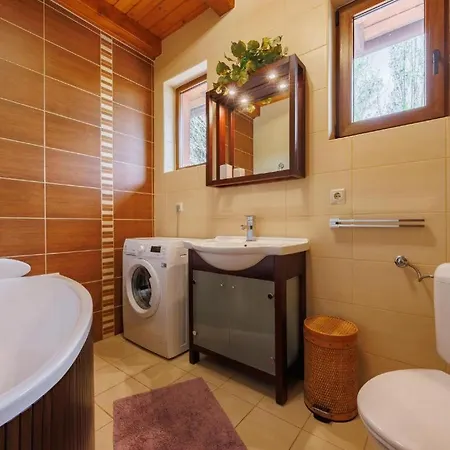 104 - Balatonszárszón 3 Hálószobás Luxus Saját Vízparttal Kiadó Villa *