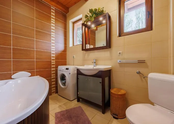 104 - Balatonszárszón 3 Hálószobás Luxus Saját Vízparttal Kiadó Villa *