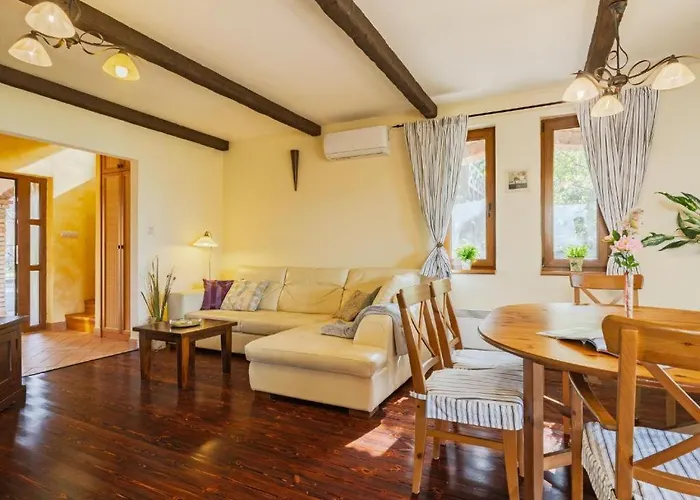 104 - Balatonszárszón 3 Hálószobás Luxus Saját Vízparttal Kiadó Villa